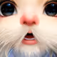 60776301907470961497531028590856274948667056304767507830716865530996803502081
