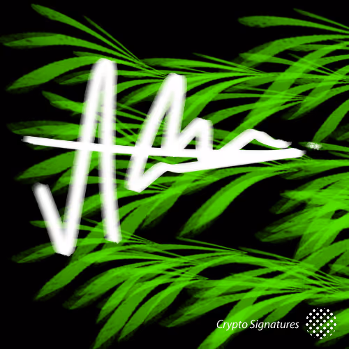 Item #105432559689709526204818645351059025457151053245182260179653053543526147555329 Media