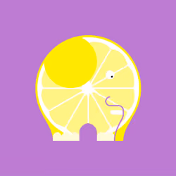 Alephant #84