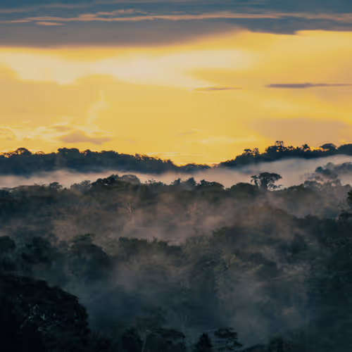 45576425564904372626892608315059614446222544919153294335331944281953133395969