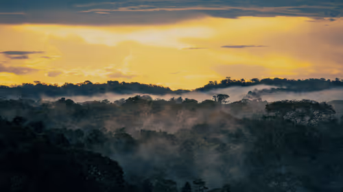 Item #45576425564904372626892608315059614446222544919153294335331944281953133395969 Media