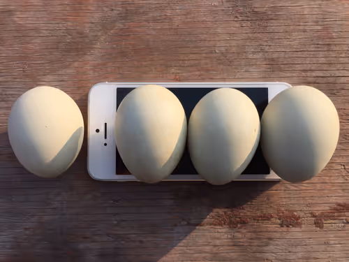 Item #20278646624775814412361902830704826815637151514998672000358416422446936621057 Media