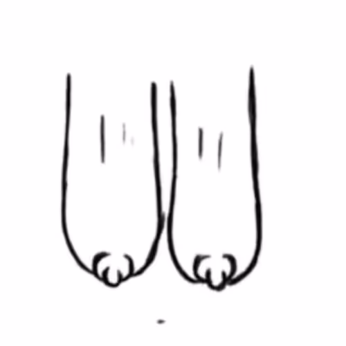 Item #71574901953650280740659316481339490818505807667850163672444257378143085527041 Media