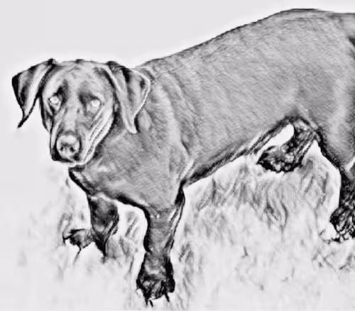 Item #23143313246472061328071561115701105421589606567298838424350448129146359906305 Media