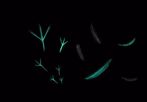 Item #110390010349228329797411835385979404058878702796669565021158423213681269538817 Media