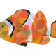 96690076529378310149315784913564675552645636958132000454502023953555826671617