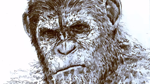 Item #48962084060186019940623196789396244510789399652711377126682244774812077522947 Media