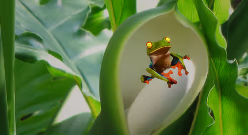 Item #41423174657448755454775180770704774351895892577704630438802697565465135284225 Media