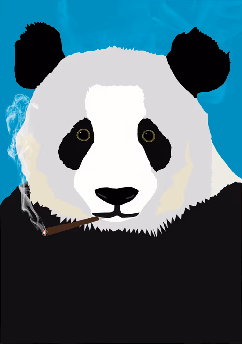 Item #46679994496108624530020148644785155104419172278486625888968681002604861325313 Media