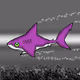 SHARK # 1414
