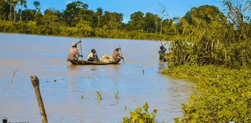 Successken Collection