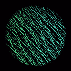 44081091071029519646655864610904877789481755389239864061758741639332309762049