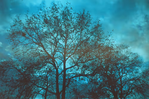 Item #26240500746670689107494502172529202966173513927234395913133241664477453090818 Media