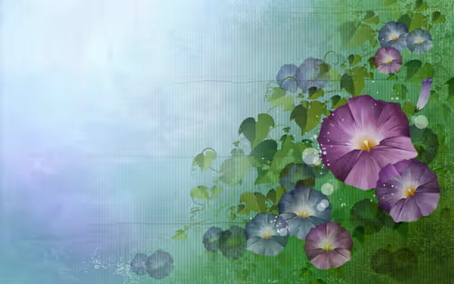 Item #15873686498819518447101859256786885802653839680646720121674313166908240692200 Media