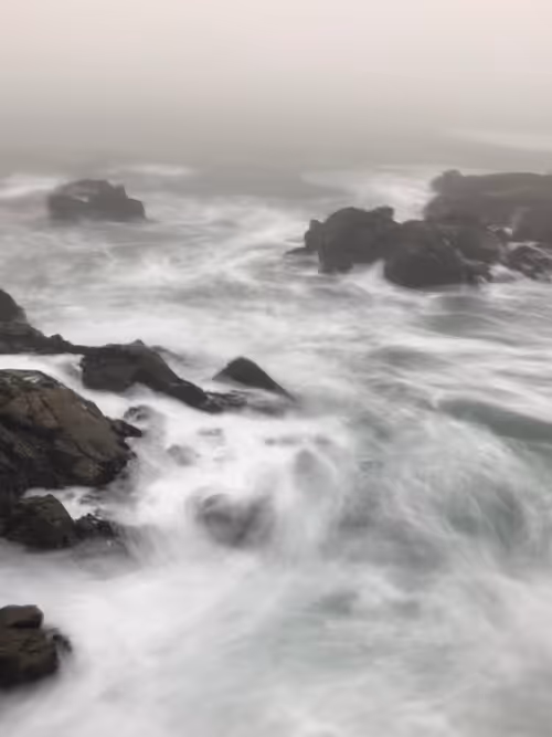 Item #41540088115712747085042347828727921897877758860552176514137011686728389361669 Media