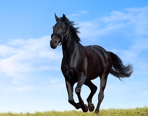 2468119463308914702005443652102614178506533567319377457804557035057291722753