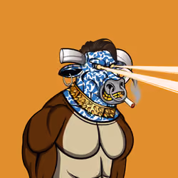 Angry Bulls Club Polygon Official