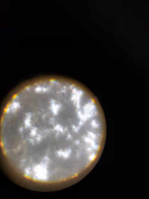 Item #12499860690887257293727532681291822536045842218714555575181684150571882250241 Media