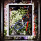 45175175336027903314449070168352810864300206384175713615593971117099885527062
