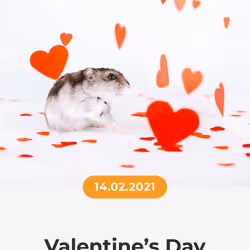 84967509520196306123188380026293221301468344843151761076076916341834023698433