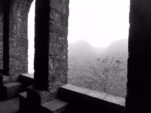 Item #41224920182518181560806089157378548851265861215278832006028644628109002276865 Media