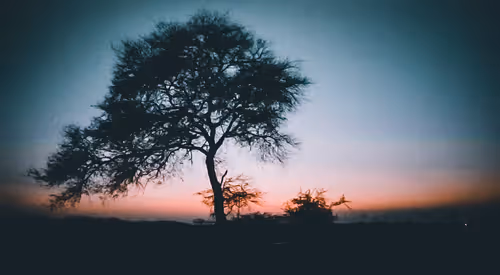 Item #66869618967602468746282682134224071188176977612925683750595185199015151009793 Media