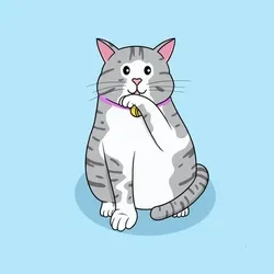 24590184456158967384294719390517149234798203054659292978162252642857888251905