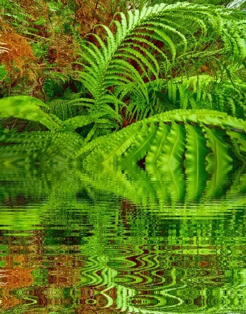 Item #33273431064062745158281459223994481396408298461003960329838769744808578646021 Media