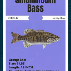 43502264269384842523243150070095810631836830099831581701628992084602339196929