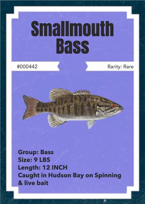 Item #43502264269384842523243150070095810631836830099831581701628992084602339196929 Media