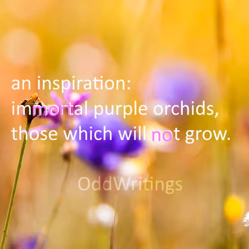 Item #48289997999590210334063077456393509528592056807732048907342275356870146260993 Media