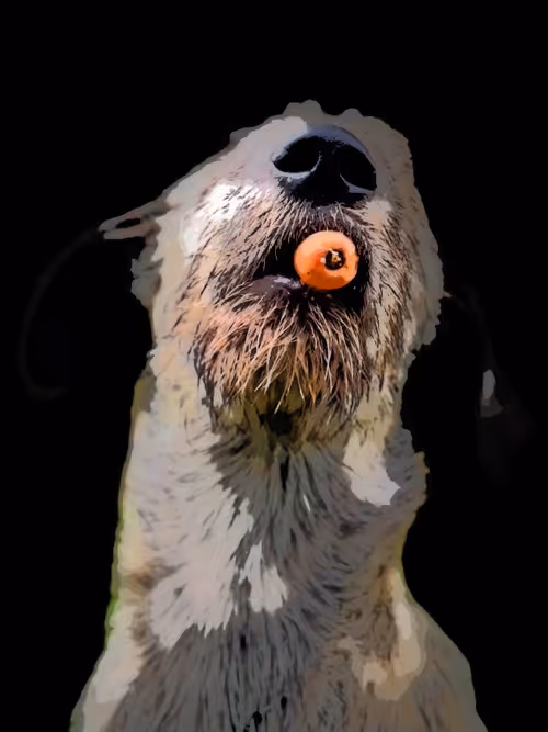 Item #57108856801896560903746486383639662779373746189961117065333784834625415151617 Media