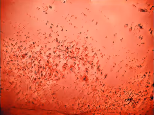 Item #16558374224031309544810590642259060897408029573872384606006677293708452298753 Media