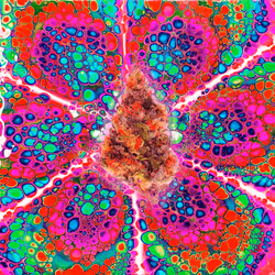 13955282856406335165414100891374623718709547313428947888299033993440206520325