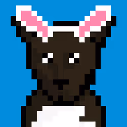 86342293801826414143372861100842254570940757314469337426512614428410449494017