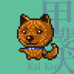 98789990287261690272402643257654075439011998844898742589554852338223051440129