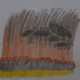 111546523431627580213206672486234686334581095429686898900410502843275759583233