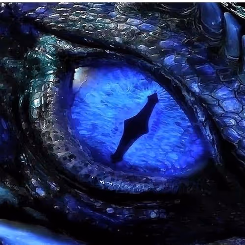 Item #23625981528372429169223611811942723787752385391427279505035076524054088253441 Media