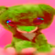 46920327615017760183315635484083963843301153222496902700010762533555125878785