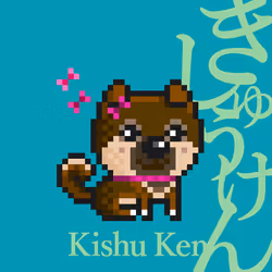 98789990287261690272402643257654075439011998844898742589554852568020981645313