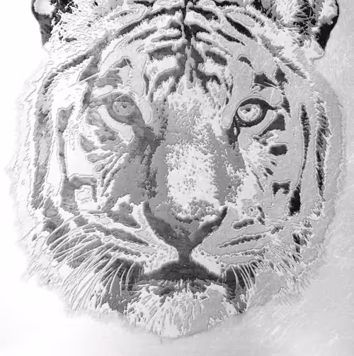 Item #86237857260230094109351666257840853512560942503418433082652455692183913103460 Media