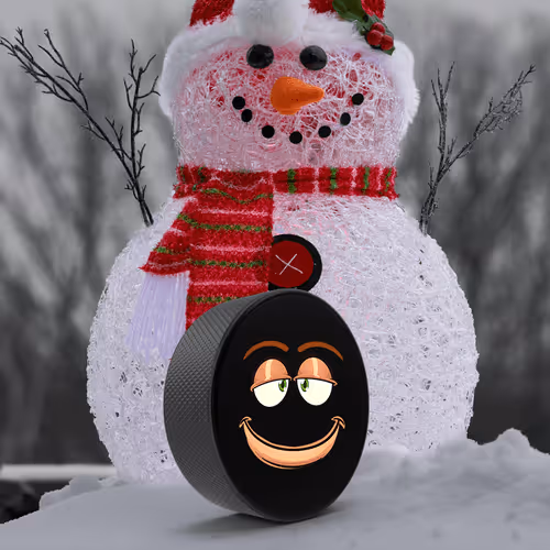 3430565109855428148014555979724028545778279334899879716249393184685951025153