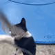 5089700790213180568615182075728478551539318673687912195770956351346378276865