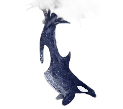 Item #46304094613724871051746606201869162156631433025373697716598318708807132250113 Media