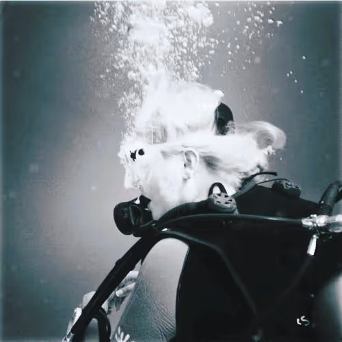 19032294772148781182284612819641724008579829006900072158309399294258211454977