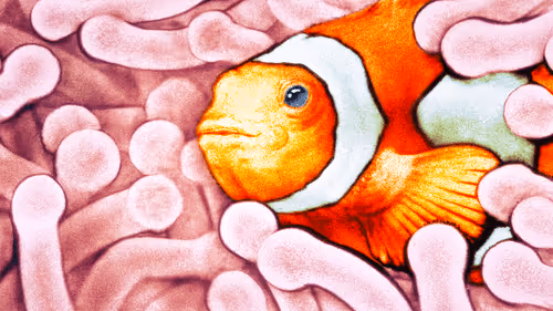 Item #64547877753568412469425259004769380681143227933510953498710243217293065584642 Media