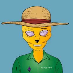 49298756002641662350007870130928629254886403356910807951606249537692338487297