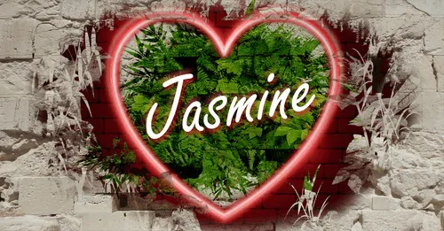 Item #68053287575525751288269231675427811746861684968250582901590729462790764888074 Media