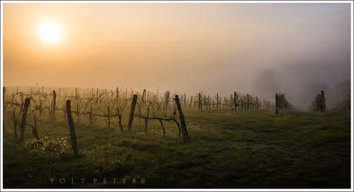 Nature Photographer 177169894