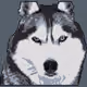 109619637282591244931637372177598932154231905636537961772483178388936011546625